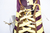 Tênis Adidas Originals SL 72
