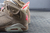 Travis Scott x Air Jordan 6 - Nobre Sneakers 