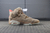 Travis Scott x Air Jordan 6 - comprar online