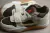 Nike Travis Scott x Air Jordan 1 Low - (cópia) en internet