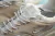 Tênis Nk Air Max 1 na internet