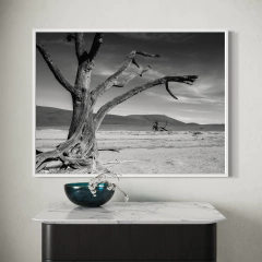 ARBOL QUEMADO