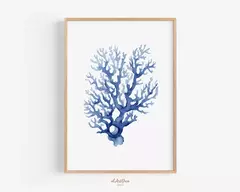 ALGAS CORALINAS AZULES - comprar online