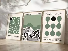 Imagen de BAUHAUS SALVIA