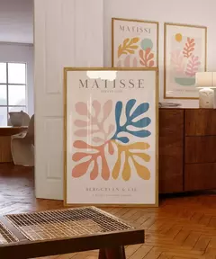 MATISSE LIGHT en internet