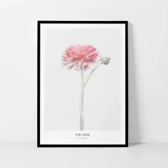 FLORES TULIPAS - tienda online