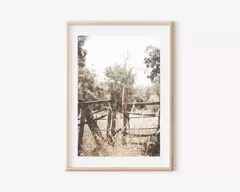 TRANQUERA Y RANCHO en internet