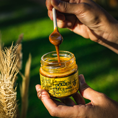 Golden Milk Mel (Cúrcuma)