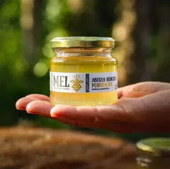 Mel de Mandaçaia (Pote 150g) Beeliving