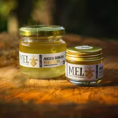 Mel de Mandaçaia (Pote 150g) Beeliving
