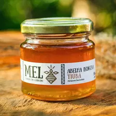 Mel de Tiúba do Maranhão (Pote 150g)