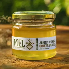 Mel de Uruçu Amarela (Pote 150g)