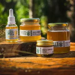 Mel de Jataí (150g) - loja online