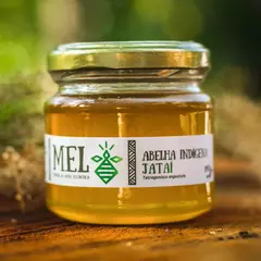 Mel de Jataí (150g)