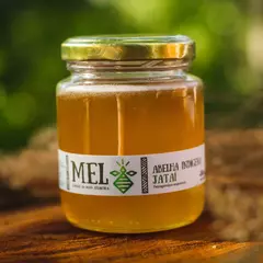 Mel de Jataí (Pote 260g) Beeliving