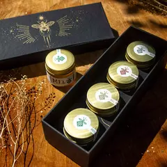 Caixa Degustação com 4 Méis Nativos - Beeliving | Produtos das Abelhas Nativas Sem Ferrão | Mel, Própolis, Pólen, Sabonetes Naturais...