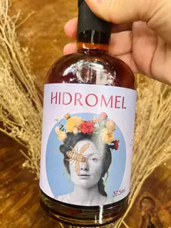 Hidromel na internet