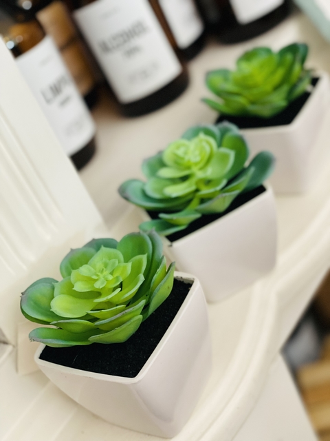 Suculenta alocasia artificial en maceta - comprar online