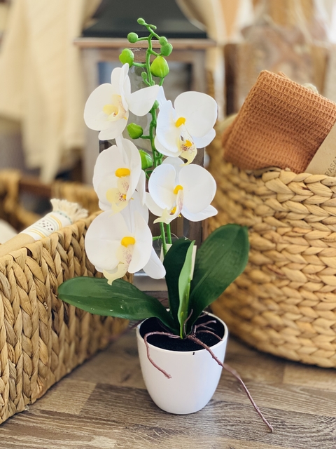 Orquídea blanca artificial en maceta - comprar online