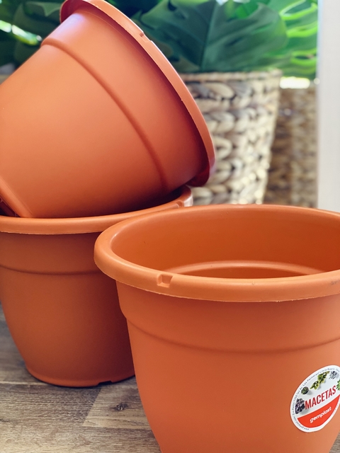 Maceta Edén 22cm - comprar online