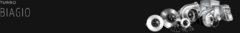 Banner da categoria Biagio