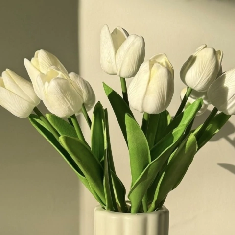 Flores Tulipanes - comprar online
