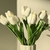 Flores Tulipanes