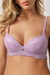 Sutiã Base Macia Com Bojo Em Renda - 2388 - More Lingerie