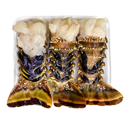 Cauda de Lagosta Grande - 3 unidades