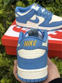 Dunk Low Coast na internet