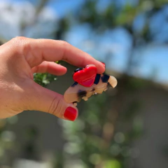 Piranha Love Tartaruga Clara - Daniela Lopes Acessórios