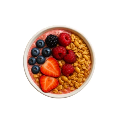 Granola proteica - F. Rojos en internet