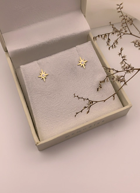 Mini - A estrela que anuncia Jesus - comprar online