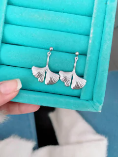 Brincos em aço inox duo de folhas - COD. HA68B na internet