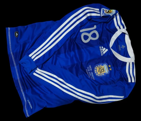 Camiseta Argentina Palermo mundial 2010 manga larga - comprar online