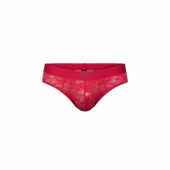 cueca slip em renda transparente - comprar online