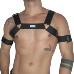 HARNESS ARREIO COM REGULAGEM E BRACADEIRAS - ACERTE