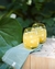 VASO DAISY FLOWERS
