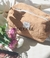 Banner de Wanama Home
