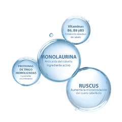 Ducray Anaphase Shampoo Anticaí­da
