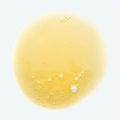 Klorane Mango Shampoo Nutritivo Para Cabello Seco Deteriorado
