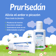 PRURISEDAN CREMA CON COLOR X 30 G en internet