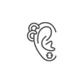 Categoria 7