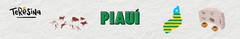 Banner da categoria Piauí