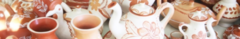 Banner da categoria Vale do Jequetinhonha - MG