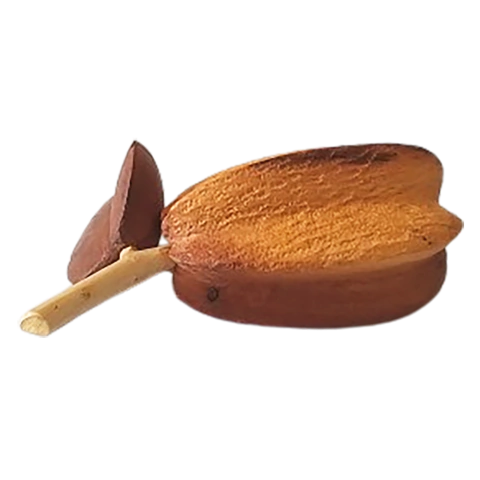 Fruta Carambola Ácida Peroba esculpida em madeira de João Batista Barreto