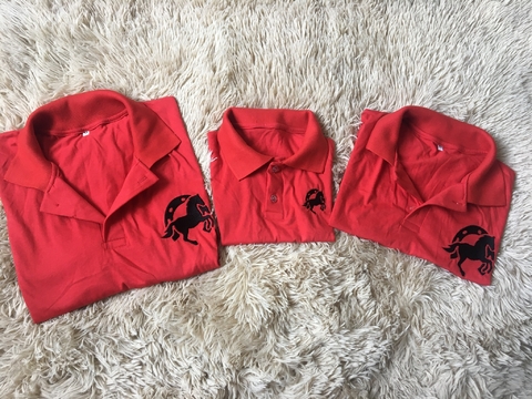 Camisa Polo