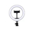 Soft Ring Light Live 20cm Com Suporte Para Celular 8” MJ-20 USB - comprar online