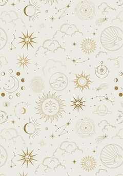 Banner de la categoría Cíclica
