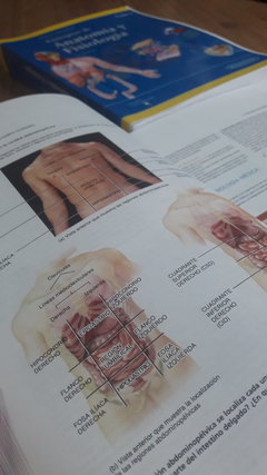 Imagen de Tortora - LIBRO -  Anatomia y Fisiología - 13º edición